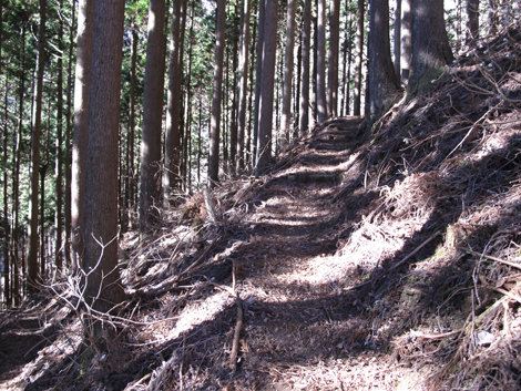20190121hike (37)